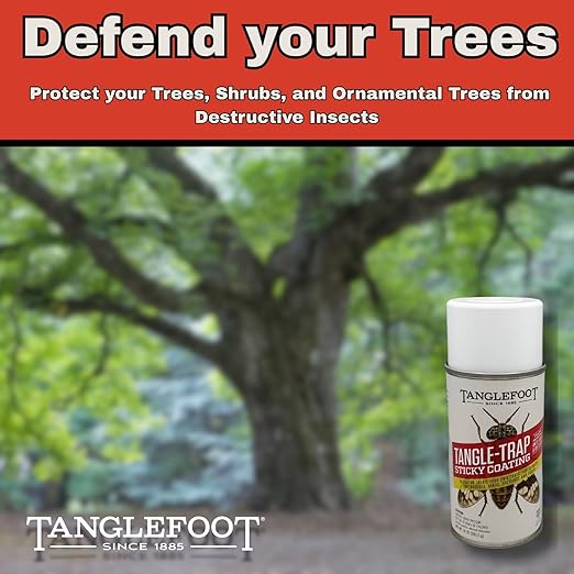 Tanglefoot Tangle-Trap Sticky Coating Aerosol Spray, 10oz – Long-Lasting Adhesive for DIY Insect Traps, Garden & Home Use, Easy Application