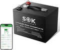 SOK Battery 12V 100Ah LiFePO4 Deep Cycle Lithium Iron Phosphate Battery, Built-in Bluetooth, Low Temperature Protection & Self Heating Function, Suitable for RV and Solar & Wind Off-Grid Use