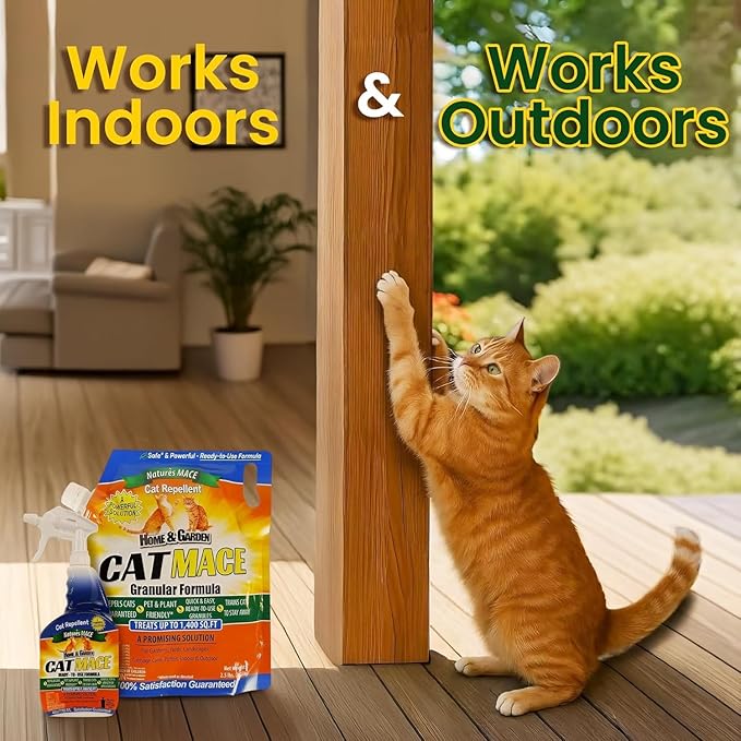 Nature's Mace Cat Mace Cat Repellent, Spray Deterrent for Urine Marking, Keep Cats Away for Outdoor & Indoor Use, Scratching, Flowerbeds, Yards, Pets, Garden, Plants, Ready-to-Use, 40 oz Spray