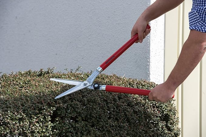 BERGER Topiary Shear 2520 with Beech Wood Handle Garden Shear with self-Sharpening Blades, Length 60 cm