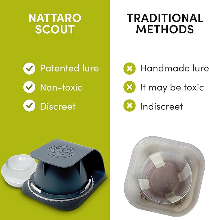 Scout Bed Bug Detection Trap – Non-Toxic Early Monitoring Solution with Patented Pheromone Technology, Includes 12 Bed Bug Detection Traps, Replaceable Lures and User Guide