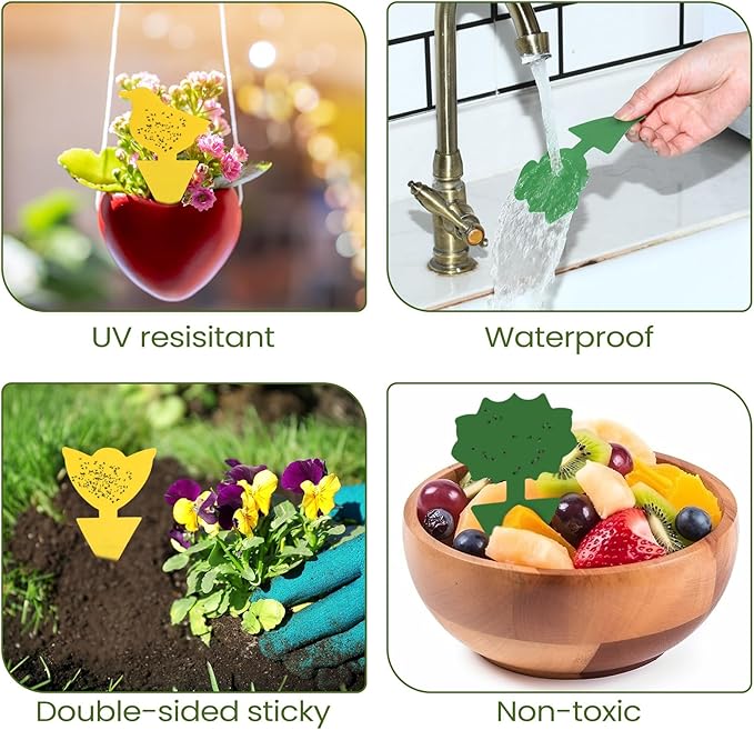 Qualirey 200 Sheets Fruit Fly Sticky Traps for Fruit Fly Gnat Trap for House Indoors Sticky Traps Catcher for Gnats Fungus Gnats Mosquito Catcher for Kitchen Outdoor Plants(Yellow, Green)