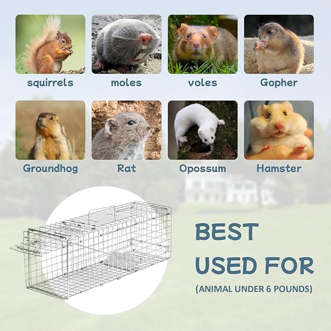 Animal Trap 24"x8"x7" Cage Trap, Heavy Duty Folding Raccoon Traps, Humane Cat Trap for Stray Cats,Rabbits,Squirrels,Outdoor Small Animal Trap,Humane Catch & Release