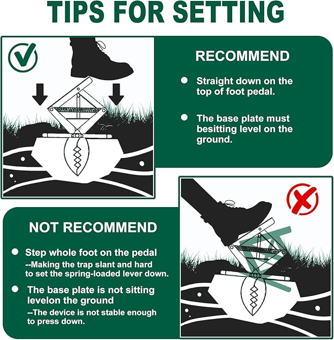Mole Trap Scissor 2 Pack, Upgraded Mole Traps for Lawns That Kill Best, Galvanized Steel Mole Killer, Easy Step Setup