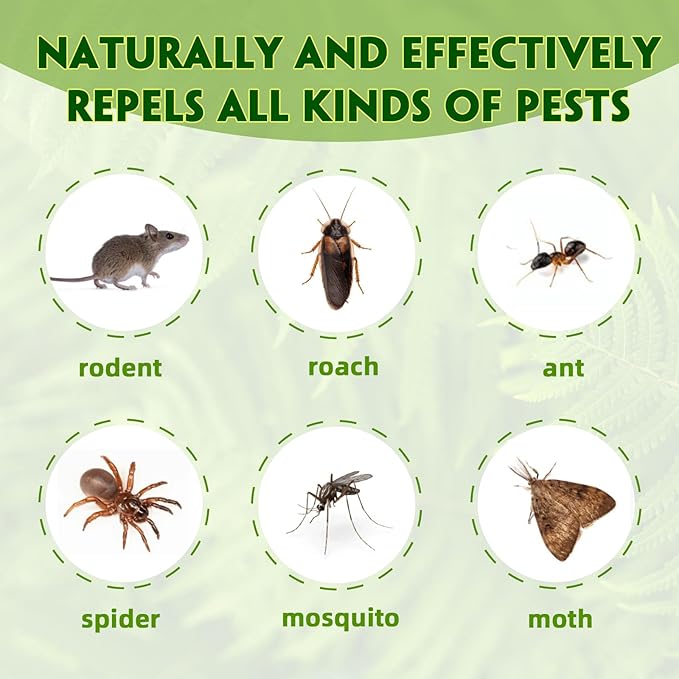 Peppermint Mouse Repellent, Natural Rodent Deterrent for Indoor & Outdoor Use, Effective Mice and Rat Control for Home, Car, RV, Garage & Garden - Safe for Kids & Pets, 24 Pack.