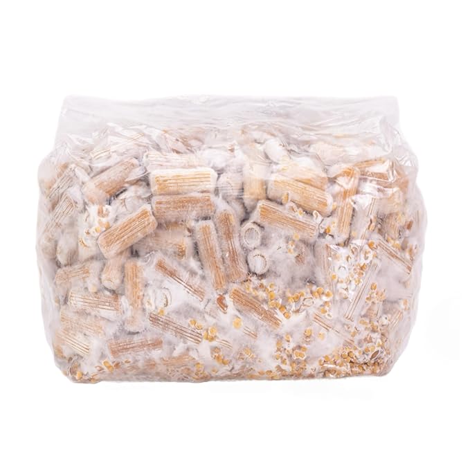 North Spore Log Inoculation Bundle | 500 ct Shiitake, Lions Mane, and Blue Oyster | Wax, Daubers, and Drill Bit | Grow Mushrooms on Outdoor Logs | Premium Quality Mushroom Plug Spawn | Handmade in USA