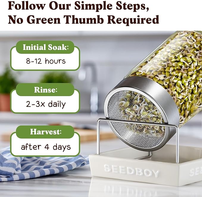 Seedboy Organic Non-GMO Mung Bean Seeds for Sprouting - Microgreens Sprouting Seeds - 8 oz Bag Makes 5 Quarts / 15 Servings (Mung Bean)