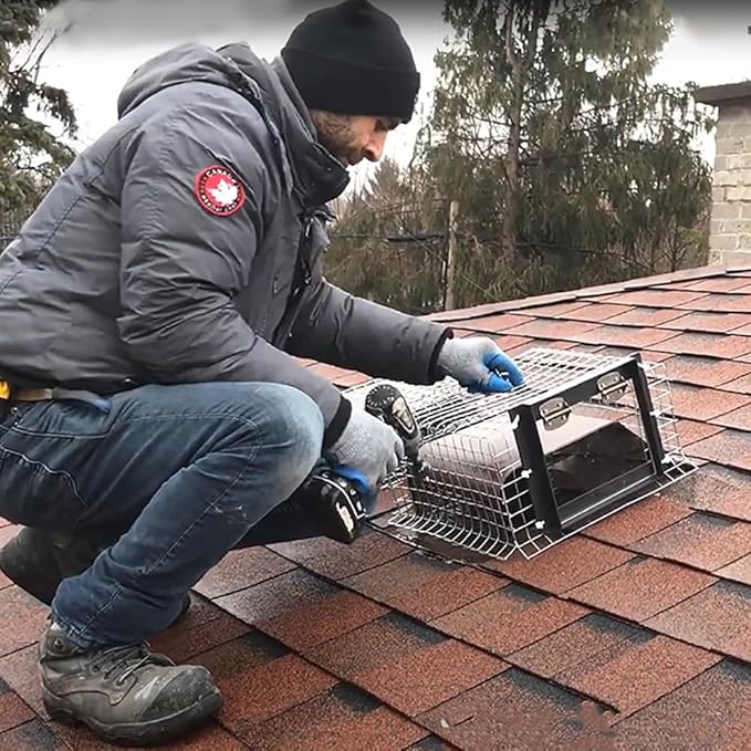 Raccoon One Way Eviction Door - Raccoon Trap Contactless Excluder for Outdoor Spaces Like Attics, Chimneys & Under Decks. Fast Results, Easy DIY Installation Small