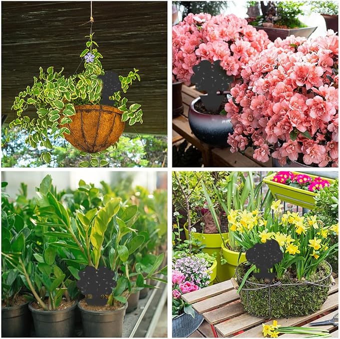 58 Pcs Black Flying Insect Traps for Plants,Indoors, Outdoors, Kitchen, Sticky Traps for Fungus Gnat, Fly and Fruit Fly, Flying Insects, Non-Toxic & Odorless, Kid & Pet Safe, Economic Pack (Black)