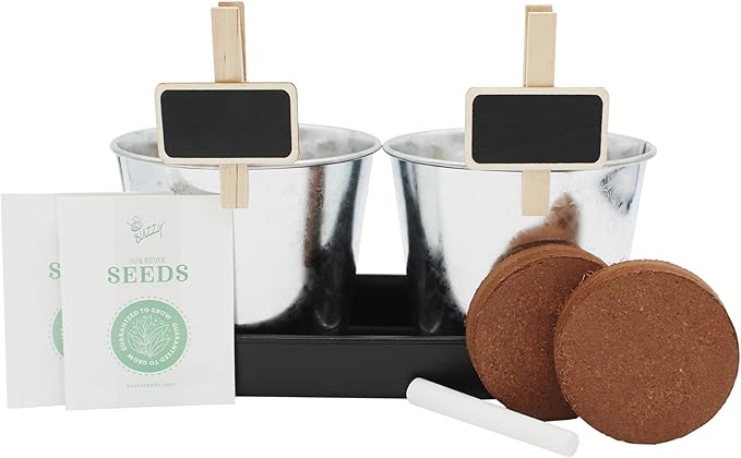 BUZZY Seeds 2-Pot Kids Gardening Kit – Grow Tomato and Sunflower Plants with Non-GMO Seeds, Planters, Growing Medium, Planter Markers and Chalk, Educational Gift for Kids, Birthday or Holiday Present