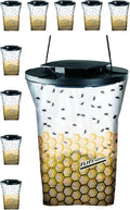 Flies Be Gone Outdoor Fly Trap - Disposable Non Toxic Fly Catcher, Made in USA - Natural Bait Trap for Patios, Ranches, Outdoor Environments - Disposable Flytrap, 10-Pack