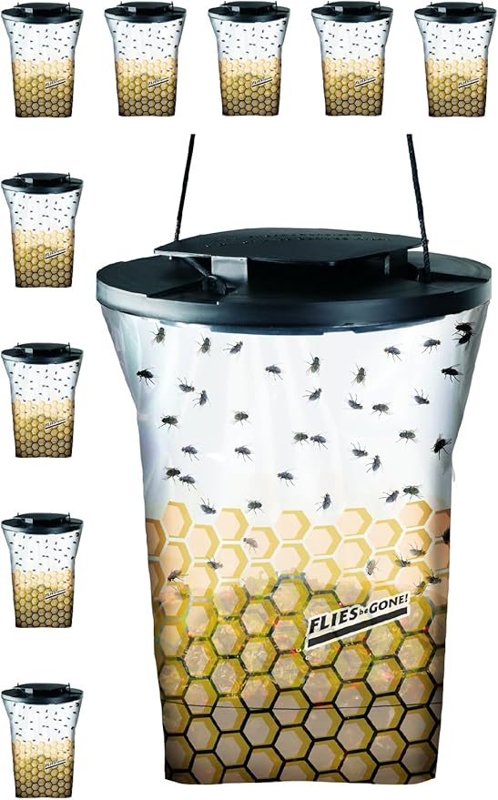 Flies Be Gone Fly Trap - Disposable Non Toxic Fly Catcher, Made in USA - Natural Bait Trap for Patios, Ranches, Outdoor Environments - Keeps Flies from Coming Indoors, Disposable Fly Catcher, 5-Pack