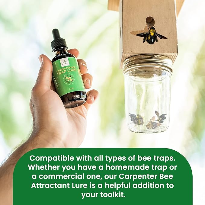Carpenter Bee Attractant – Natural Bee Trap Lure for All Trap Types, Gentle on Honeybees, All-Year-Round Formula, 2oz