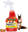 Nature's Mace Squirrel Mace, Squirrel Repellent Outdoor, 40 Ounce Spray, Squirrel and Chipmunk Repellent, Keep Squirrels Out of Your Garden, Attic, Bird Feeders, Fruit Trees, Plants, Potted Plants