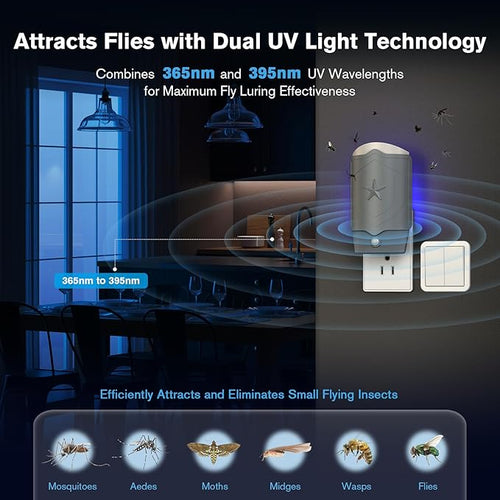 2 Flying Insect Traps with 6 Glue Refills, Indoor Fly Trap for Fruit Flies, Gnats & Mosquitoes, UV Light Bug Catcher, Safe & Odor-Free Fly Catcher for Home