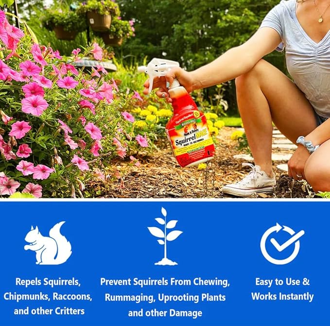 Nature's Mace Squirrel Mace, Squirrel Repellent Spray Outdoor, Combo Kit, Squirrel and Chipmunk Repellent, Keep Squirrels Out of Your Garden, Attic, Bird Feeders, Fruit Trees, Plants, Potted Plants