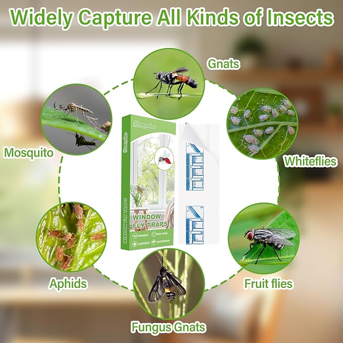 30 Pack Window Fly Traps, Window Sticky Traps, Sticky Non-Toxic Clear Fly Paper Indoor for Home