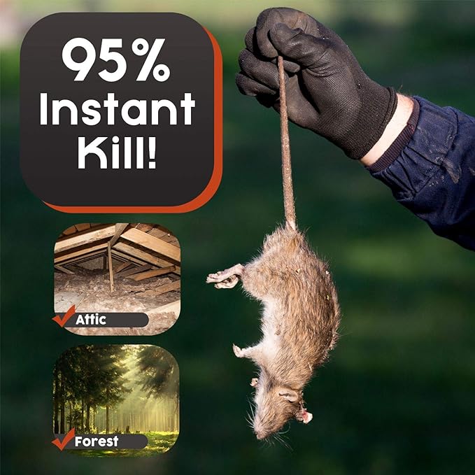 Big Squirrel Trap Indoor Outdoor – Medium Rodent Trap – Ouell Traps – Black and Grey Squirrels – QAI Quell – Most Powerful Trap