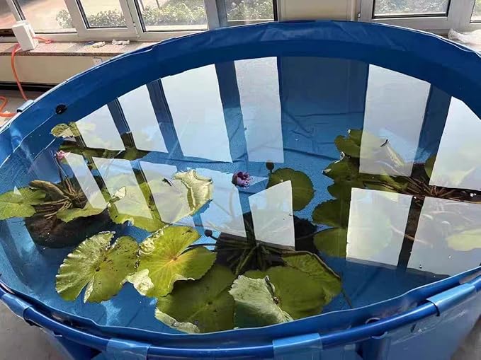 Above Ground Pond,Canvas Fish Pond Pool,PVC Fish Pond,Round Thickening Fish Pond Pool,Pool Above Ground with Durable Framed,for Fish Farming,Aquatic Products Breeding Pond 59 X31.5 in/356Gal