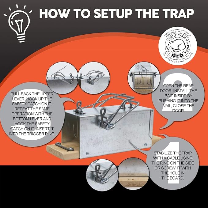 Big Squirrel Trap Indoor Outdoor – Medium Rodent Trap – Ouell Traps – Black and Grey Squirrels – QAI Quell – Most Powerful Trap