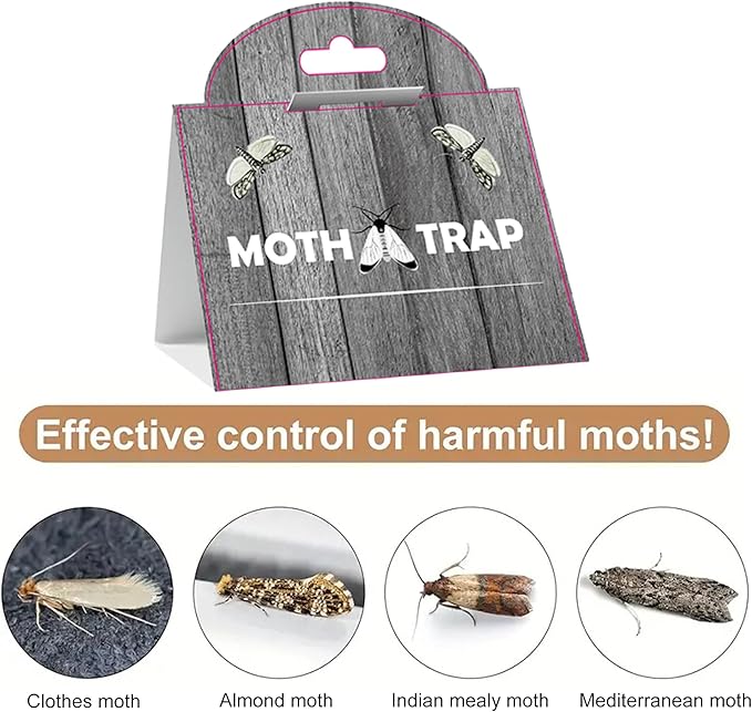Pantry Moth Glue Traps (12 Packs) Pantry Moth Killer for House Pantry | Non-Toxic and Odorless for Food and Cupboard Moth | Super Strong Glue for Moth Catcher | Grey