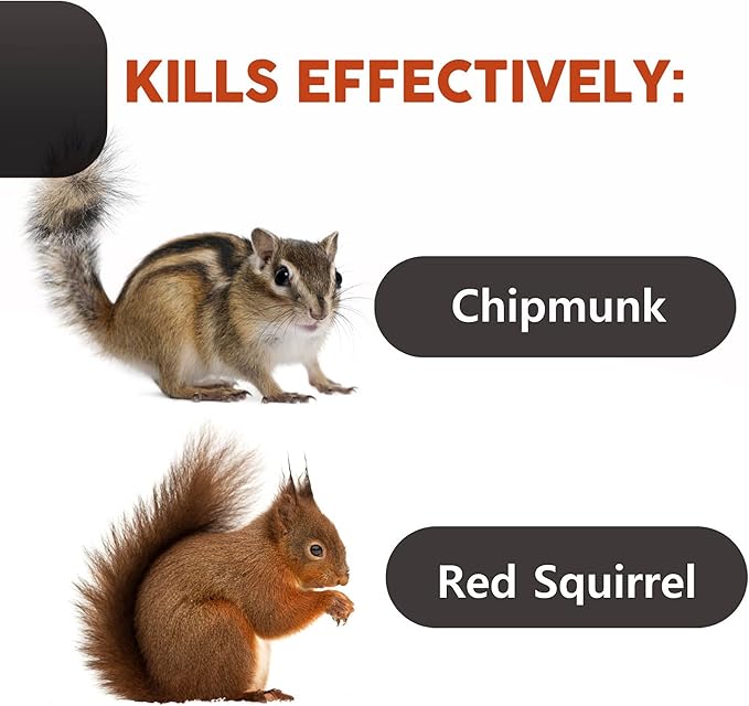 Squirrel Traps Outdoor - Squirrel Traps - Ouell Traps - Trap for Squirrels (Small)