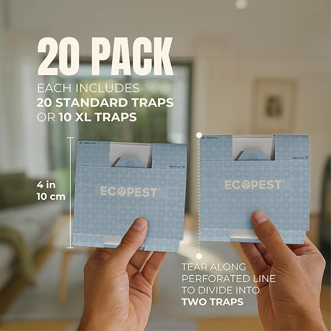 Spider Traps – 20 Pack | Sticky Indoor Glue Trap for Spiders and Other Bugs and Crawling Insects | Adhesive Spider Bait Trap, Monitor, Killer and Detector for Pest Control