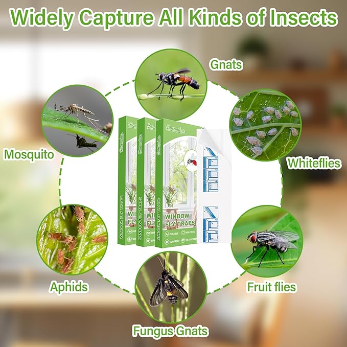 90 Pack Window Fly Traps, Window Sticky Traps, Sticky Non-Toxic Clear Fly Paper Indoor for Home
