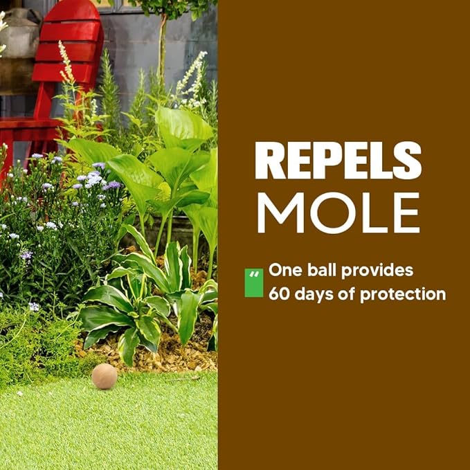 Mole Repellent, Gophers Repellent, Vole Repellant Outdoor, Groundhog Deterrent, Armadillo Repellent for Garden, Mole Control, Keep Mole Out of Yard, Safe Around Pet & Plant-10P