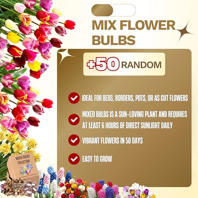 Flower Bulbs for Fall Planting, Top-Size Bulbs with 5 Varieties for Colorful Spring Blooms, Continuous 50 Days of Colorful Blooms (Mixed Flower Bulbs)
