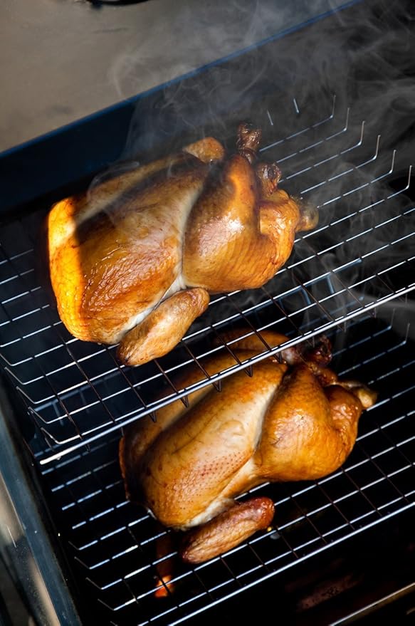 Bradley Smoker BTDS76P 4-Rack Outdoor Natrual Draft Digital Vertical Smoker