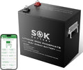 SOK Battery 12V 206Ah LiFePO4 Lithium Battery Deep Cycle Lithium Iron Phosphate Battery with Low-Temp Protection & Built-in Heater Suitable for RV and Solar & Wind Off-Grid Use