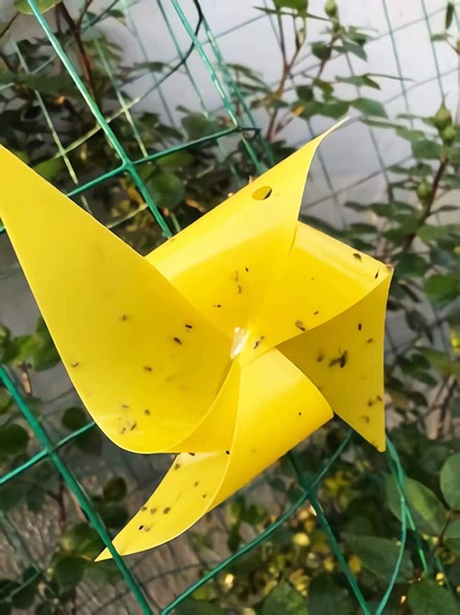 Faicuk Yellow Dual-Sided Sticky Fly Traps for Plant Insect Like Aphids, Fungus Gnats, Leaf Miners and White Flies (10 Pack)