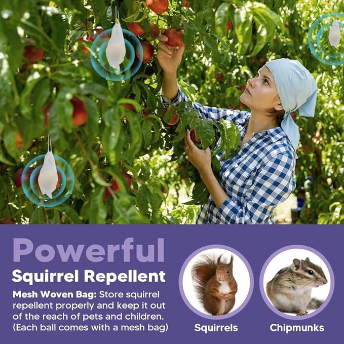 Squirrel Repellent Outdoor, Chipmunk Repellent, Repellent for Squirrels, Squirrel Deterrent for Gardens/Attics/Cars/Bird Feeders (1 Ounce (Pack of 8))