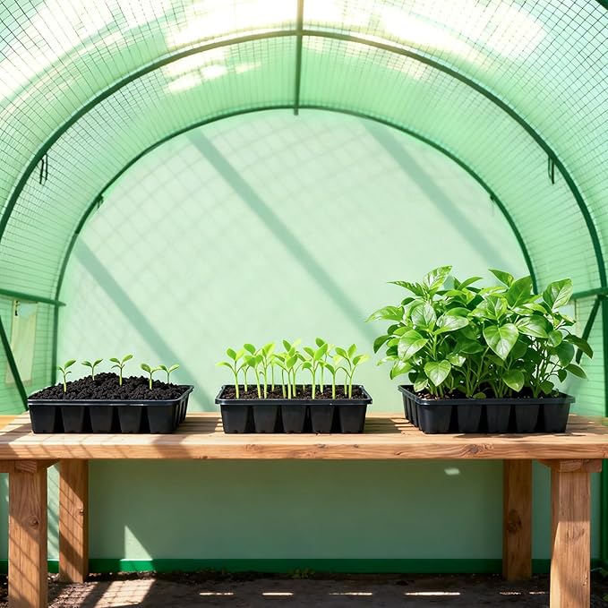 9.8x6.5x6.5 FT Greenhouse, Large Walk-in Green Houses for Outside, Tunnel Greenhouse with Thicken PE Cover with Mesh Door and 6 Ventilation Windows