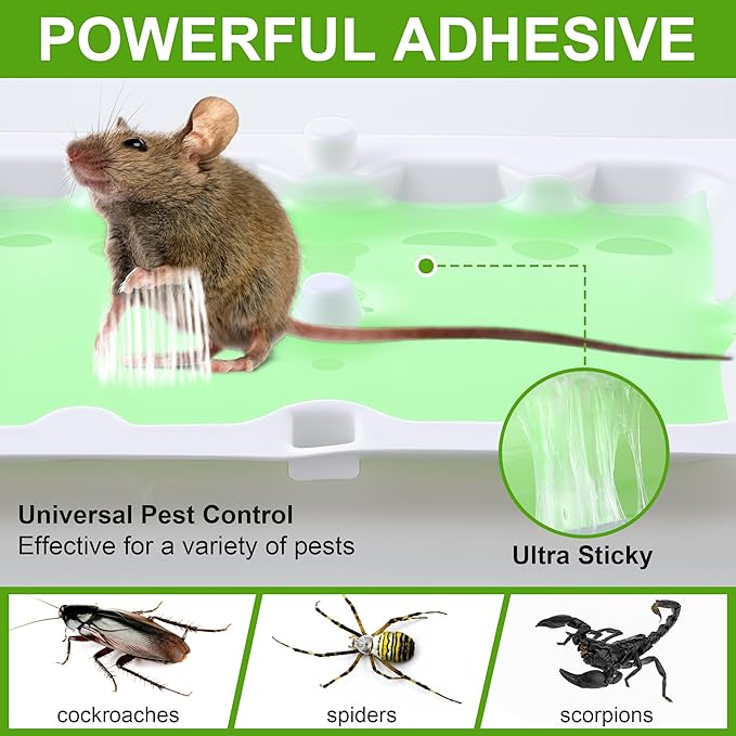 Qualirey 6 Pack Mouse Glue Trap, Super Sticky Traps Mouse Size for Mice and Rats, Pre-Scented, Non Toxic Mice Glue Boards, Rodent Sticky Pads Indoor for Home, Easy to Use, Pet Safe Pest Control