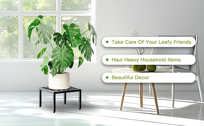 Zhongma 2 Pack 12" Sturdy Potted Plant Stand Flower Pot Holder Heavy Duty Construction, Square Low Plant Stand 12 x 12 x 7.87 inch for Home Indoor and Outdoor, Sturdy plant riser and saucer without Installation Required