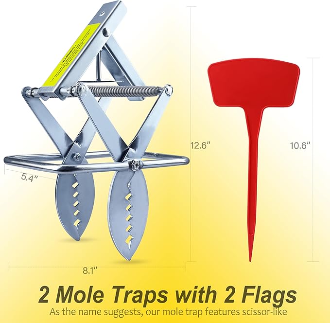 Mole Trap Scissor 2 Pack, Upgraded Mole Traps for Lawns That Kill Best, Galvanized Steel Mole Killer, Easy Step Setup