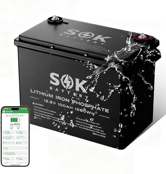 SOK Battery Lithium Iron Phosphate 12V 100Ah Battery,Marine Grade
