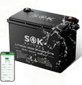 SOK Battery 12V 100Ah LiFePO4 Deep Cycle Lithium Iron Phosphate Battery with Low-Temp Protection, ABS Casing, Marine Grade IP65 Suitable for RV, Marine, Boat, Yacht, and Solar & Wind Off-Grid Use