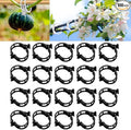 Plant Support Clips Reusable Garden Clips, Secured Plastic Plant Clips, Tomato Support Clips for String Trellis for Climbing Plants Outdoor Indoor Plant Flowers Stem Vine Fixing Clips (100, Black)