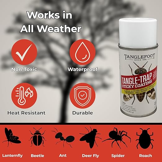 Tanglefoot Tangle-Trap Sticky Coating Aerosol Spray, 10oz – Long-Lasting Adhesive for DIY Insect Traps, Garden & Home Use, Easy Application