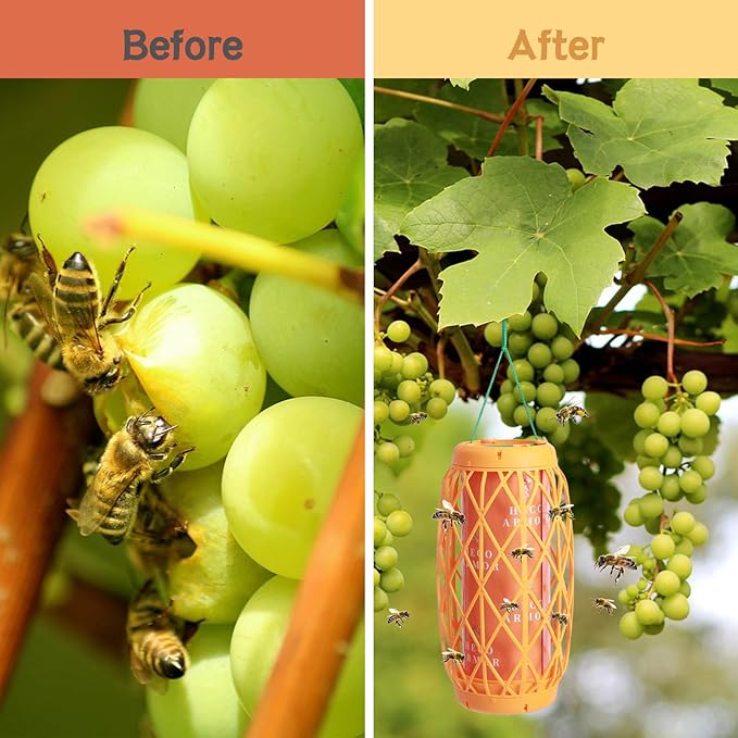 Wasp Traps Outdoor Hanging, Bee Traps for Outdoor Yellow Jacket Bee Catcher Trap, 6 PCS Refillable Sticky Papers, Fly Bug Insect Deterrent Killer 2 Pack