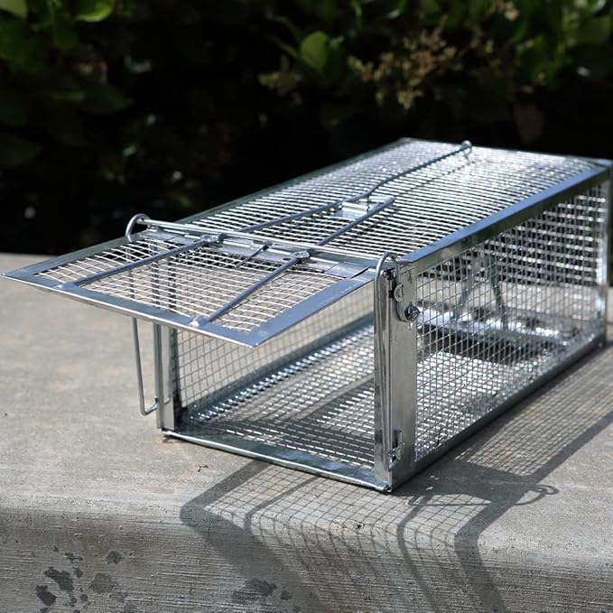 AOK Home Live Humane Cage Trap for Squirrel Mouse Rat Mice Rodent Animal Catcher for Indoor and Outdoor Small Animal 11x5.5x4.5 inch