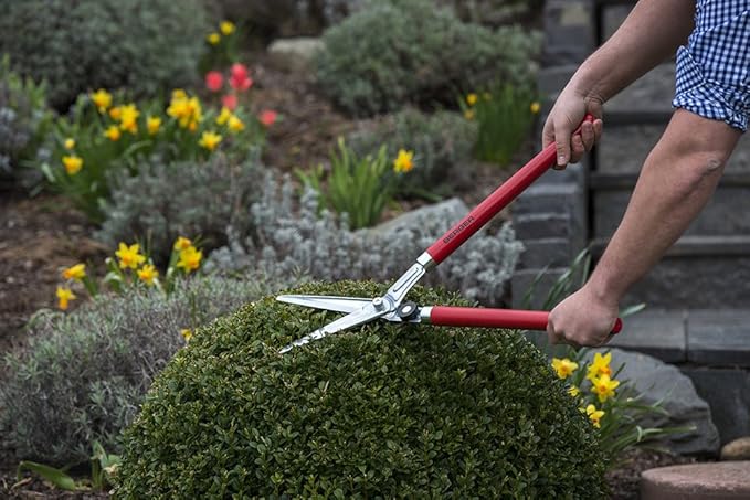 BERGER Topiary Shear 2520 with Beech Wood Handle Garden Shear with self-Sharpening Blades, Length 60 cm