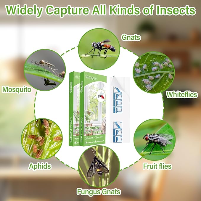 60 Pack Window Fly Traps, Window Sticky Traps, Sticky Non-Toxic Clear Fly Paper Indoor for Home