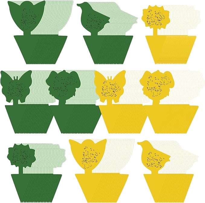 Qualirey 200 Sheets Fruit Fly Sticky Traps for Fruit Fly Gnat Trap for House Indoors Sticky Traps Catcher for Gnats Fungus Gnats Mosquito Catcher for Kitchen Outdoor Plants(Yellow, Green)