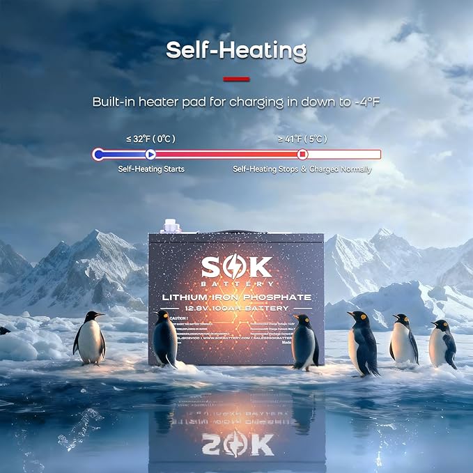 SOK Battery 12V 100Ah LiFePO4 Deep Cycle Lithium Iron Phosphate Battery, Built-in Bluetooth, Low Temperature Protection & Self Heating Function, Suitable for RV and Solar & Wind Off-Grid Use