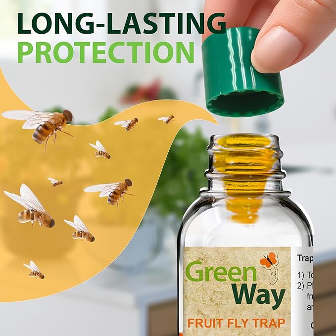 Greenway Traps Fruit Fly Trap, Indoor and Kitchen, Reduced Fruit Fly Infestations, Non-Toxic, Long-Lasting, 2 Packs (Includes 4 Traps)