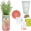 Modern Sprout Mason Garden Jar - Self-Watering Hydroponics Growing System Kit with Organic Herb Seeds - Jar Planter for Indoor Herb Garden - Seed Starter Kit - Home Decor & Gifting - Rosemary